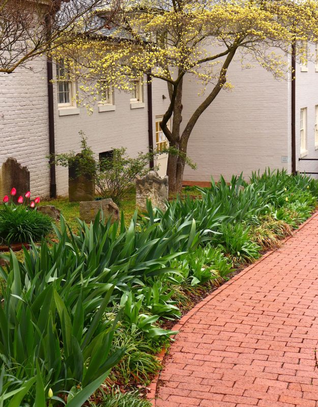 Brick Pathway Repair in Brunswick, GA