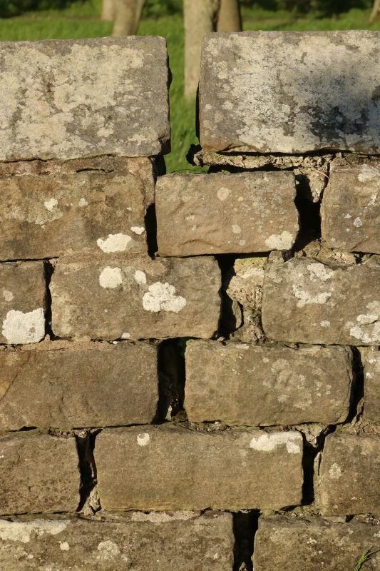 Rock Wall Repair